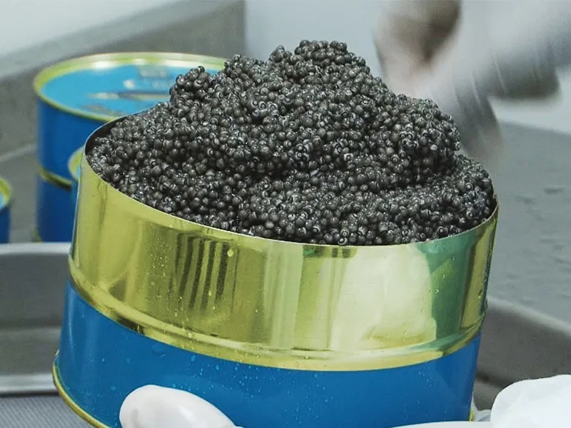 imgi_155_caviar_de_beluga_Dubai_caspian_sea_beluga_caviar_gallery_image20